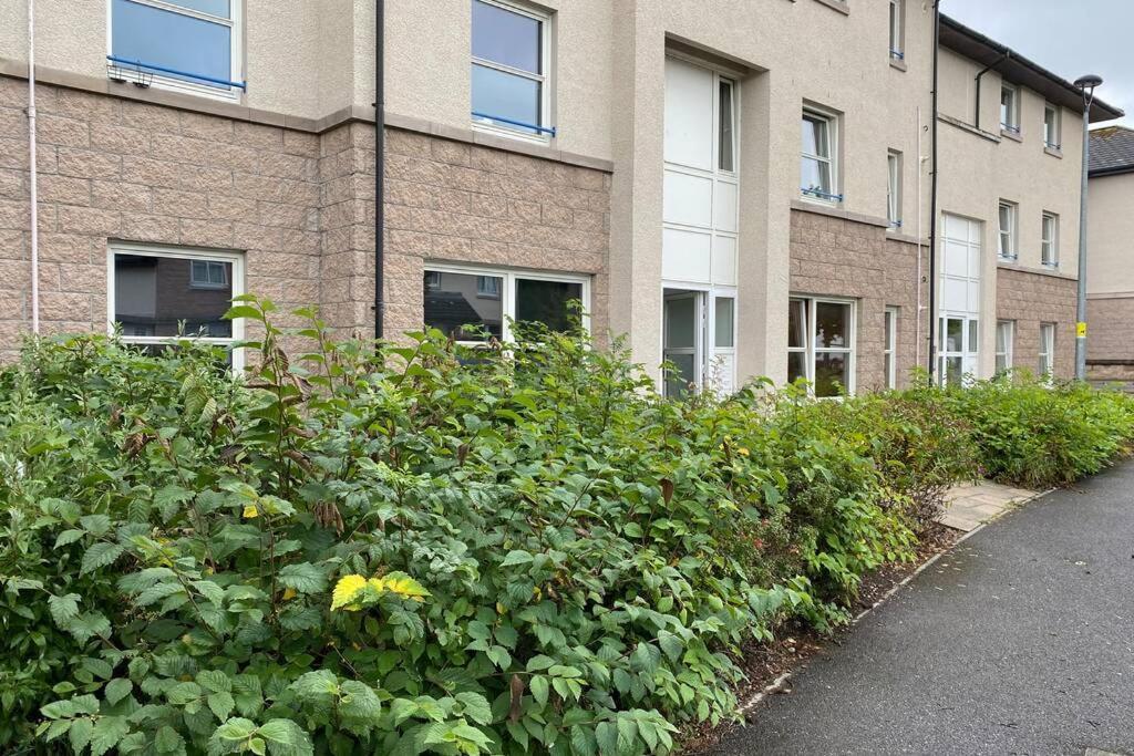 Peter Pan Apartment In The Heart Of Inverness Dalneigh Luaran gambar